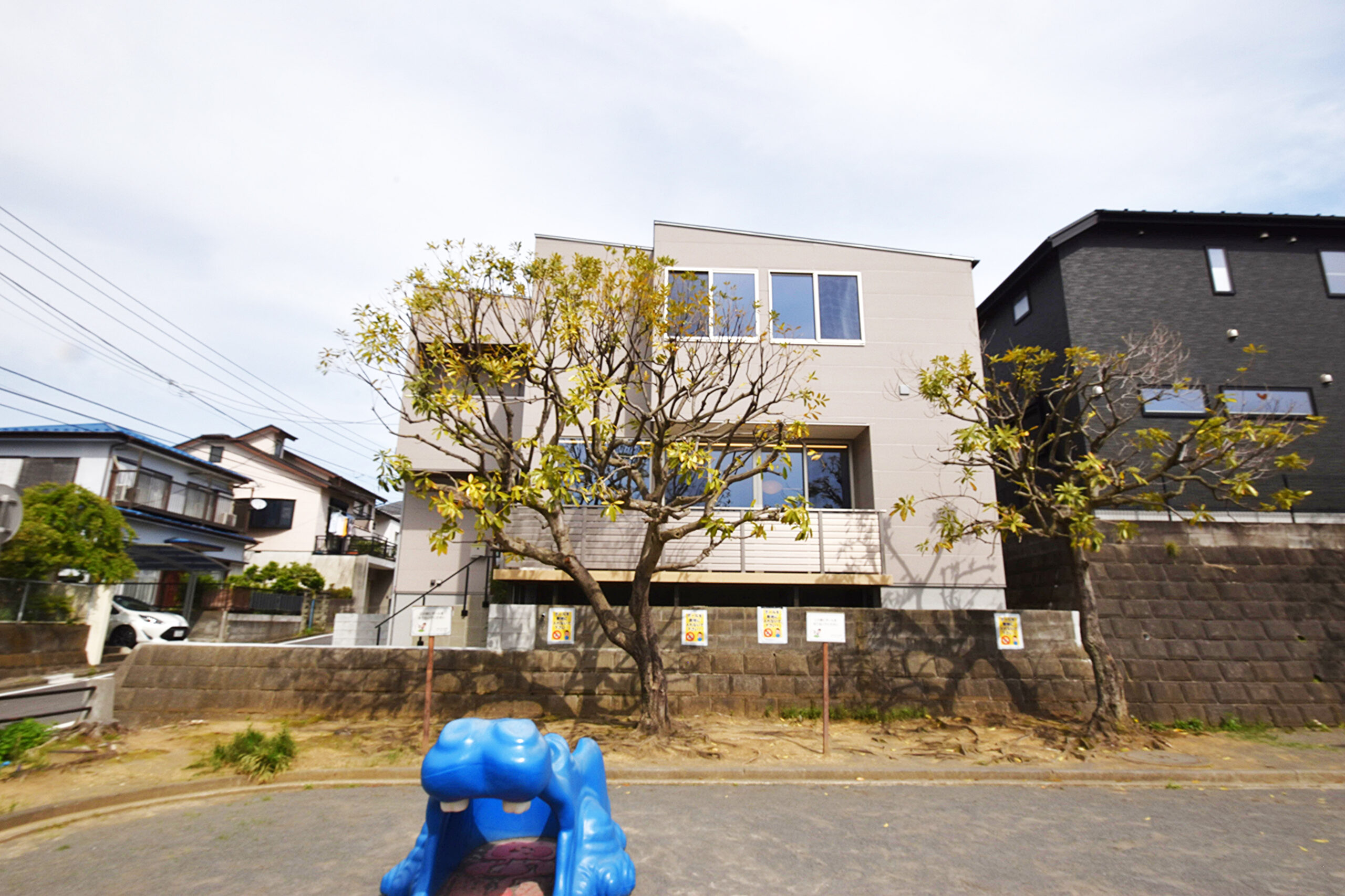 写真